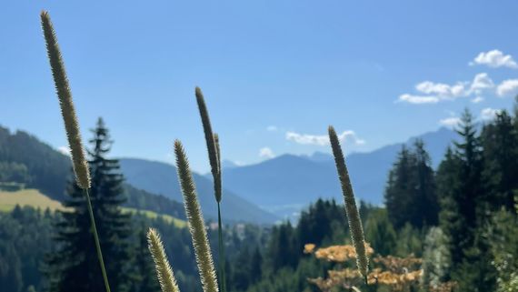 Un’oasi di benessere in Alto Adige