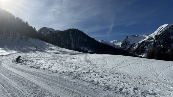 CHE BELLA ESPERIENZA !