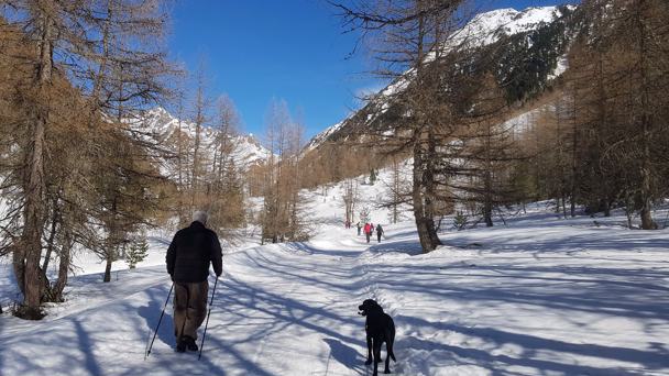 7 Tage Buchinger Fasten - Winterwandern