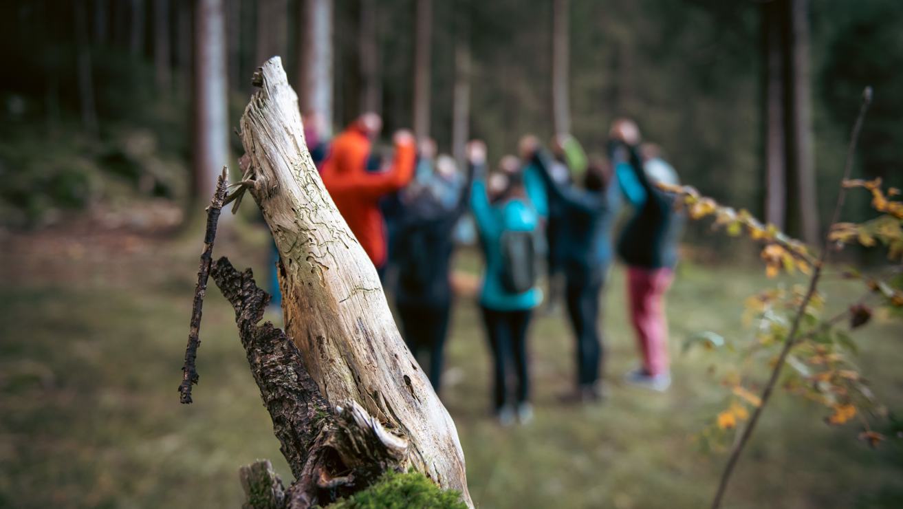 Basen oder Buchinger Fasten 7 Tage " Detox Ayurveda - Prema" 